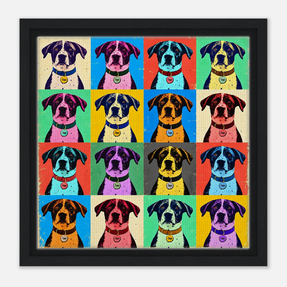 Multicolor Pawp Sensation - Framed Canvas